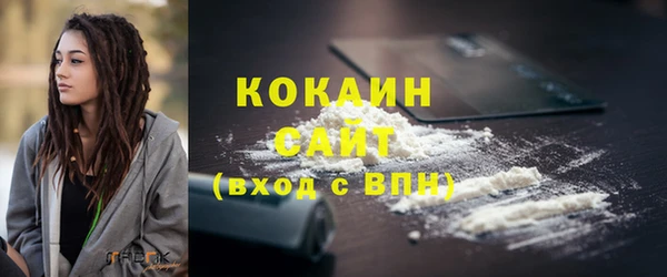 хмурый Нея