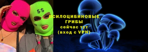 хмурый Нея