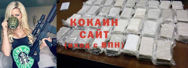 хмурый Нея