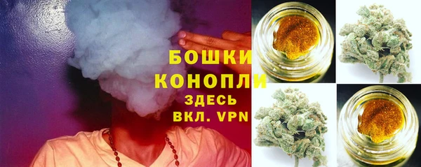 хмурый Нея