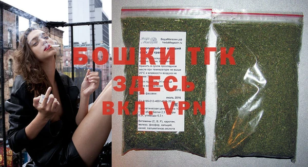 хмурый Нея